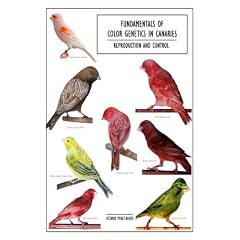 Fundamentals of Color Genetics in Canaries: Reproduction and Control
