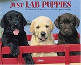 Just Lab Puppies 2008 Calendar: One Breed, Three Colors, Countless Personalities (Just)