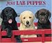 Just Lab Puppies 2008 Calendar: One Breed, Three Colors, Countless Personalities (Just)