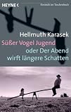 Produkt-Bild: S&uuml;&szlig;er Vogel Jugend oder Der Abend wirft l&auml;ngere Schatten