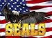 Bald Eagle American Flag with SEALS