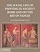 The Social Life of Painting in Ancient Rome and on the Bay of Naples