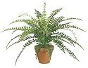 25 Inch Fishtail Fern Bush x30 Green - Qty of 6