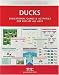 Ducks Nature Activity Book: Educational Games & Activities for Kids of All Ages (Children's Nature Activity Books)