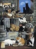 Alley Cats 1000 Pcs
