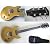 SDC-55 GT VS-Series Double Cutaway Model Gold Top