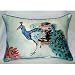 Betsy Drake HJ924 Betsys Peacock Art Only Pillow 15x22