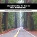 Book Internet Marketing For Your Car Racer Gears Business