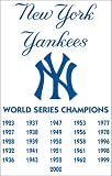 New York Yankees MLB Applique Banner Flag (44x28) (Champions)