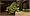Ghostbusters: The Video Game