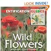 Wild Flowers (Identification Guides)