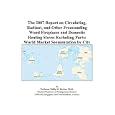 The 2007 Report on Circulating, Radiant, and Other Freestanding Wood Fireplaces and... by  Philip M. Parker