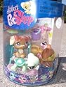 Littlest Pet Shop Exclusive Beach Set Happiest