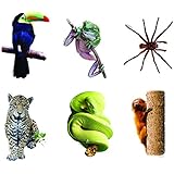 Rainforest Animals Bb Accents
