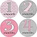 Girly Gray Monthly Baby Bodysuit Stickers