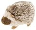 Pet Supplies : Jakks Pacific Small Classic Plush Hedgehog
