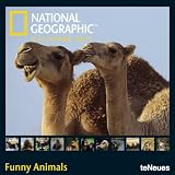 2011 NG Funny Animals Grid Calendar