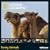 2011 NG Funny Animals Grid Calendar (Square Wall Cal)