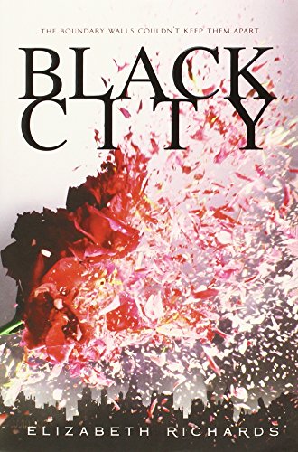 Black City (A Black City Novel)