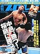 週刊 プロレス 2013年 1/23号 [雑誌]