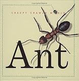 Ant