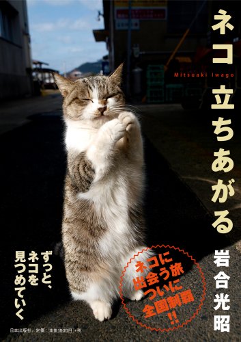 Cover image : ネコ 立ちあがる―ニッポンの猫写真集