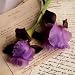 Rose Sur Livres - Art Print Poster 12 x 12