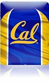 Skinit Protective Skin Fits iPad (UC BERKELEY CAL LOGO)