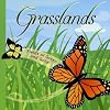Grasslands: Fields of Green and Gold (Amazing Science) (Amazing Science)