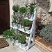 Plant Theatre Bring Your Garden To Your Door pots Plants Not Included Ideal Gift Pictured Painted Wood In Powder Blue