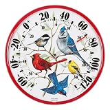 Chaney Instruments Acu-Rite 01581 12.5-inch Songbirds Thermometer