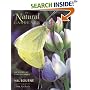 The Natural Gardener: The Way We All Want to Garden