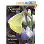 The Natural Gardener: The Way We All Want to Garden