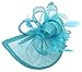 Womens Formal Party Fascinator Hat with Headband for Cocktail
