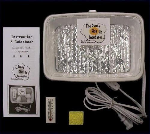 ★NEW ITEM★THE SUNNY SIDE UP EGG INCUBATOR★ POULTRY CHICKEN QUAIL PHEASANT BIRD by United States