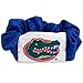 NCAA Hair Twist Ponytail Holder