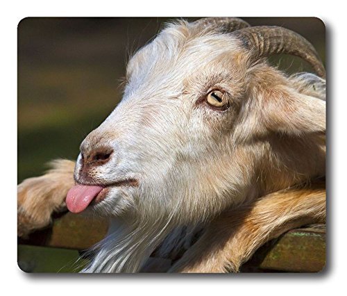 Funny Goat Rectangle Mouse Pad by Cases & Mousepads