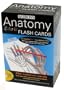 Anatomy Color-in Flash Cards: Ultimate 2-in-1 Learning Tool