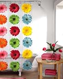 Maytex Gerbera Daisy PEVA Shower Curtain