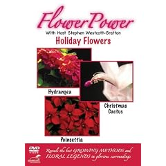 Flower Power: Holiday Flowers by 