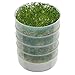 VICTORIO VKP1014 Four-Tray Kitchen Crop TM Sprouter