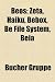 Beos: Zeta, Haiku, Bebox, Be File System, Beia