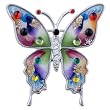 Colorful Butterfly Brooches And Pins