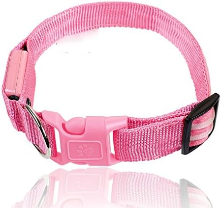 Keep Me Safe Illuminated Dog Collar (LARGE 19 1/2" to 24", Cotton Candy Pink)