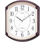�������� CITIZEN ���Ȼ��� 4MY632-A06