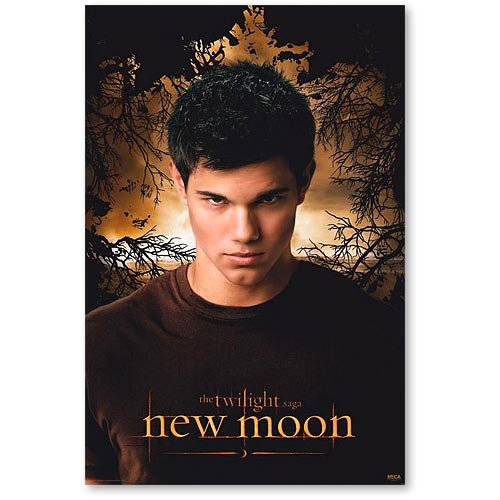 Empire 312211 Twilight New Moon Jacob Trees Poster Preisvergleich