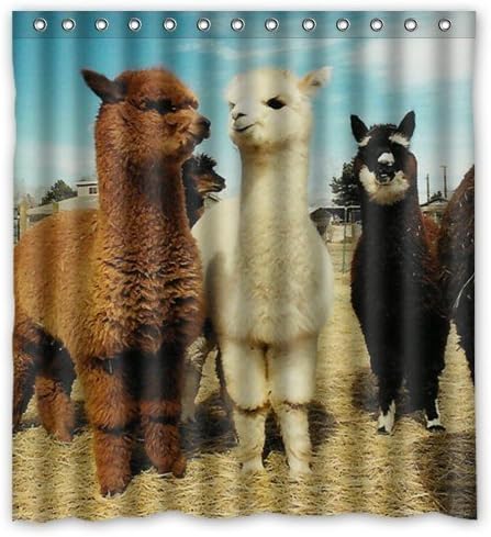 Llama We Are Friends 66"(w) x 72"(h) Bath Shower Curtain