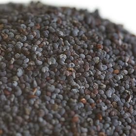 Poppy Seeds by Gourmet Nut