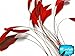 Moonlight Feather | 1 Dozen - Red Stripped Rooster Coque Tail Feathers Craft Costume Supply