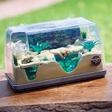 Discovery Exclusive Frog Pond Habitat